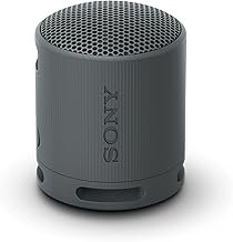 Sony SRS-XB100 – Best Speakers in India